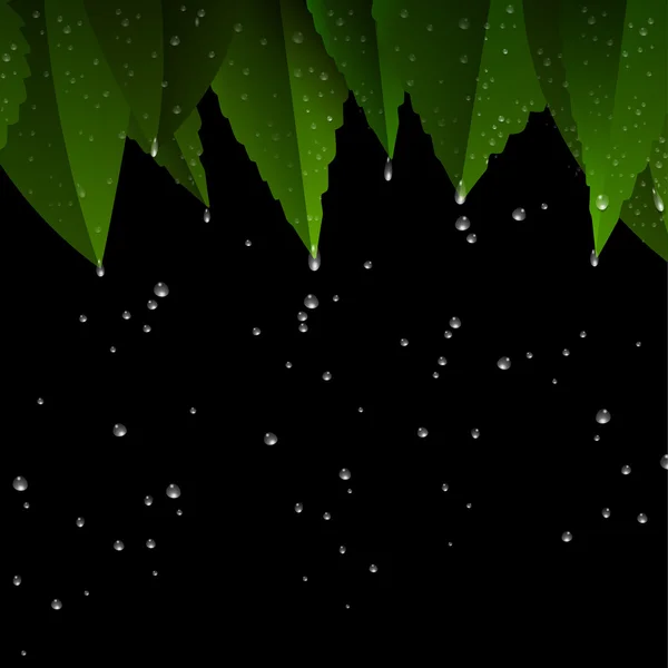 Feuilles vertes après la nuit de pluie — Image vectorielle