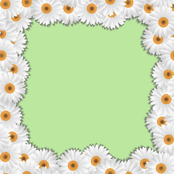 Cadre de camomille — Image vectorielle