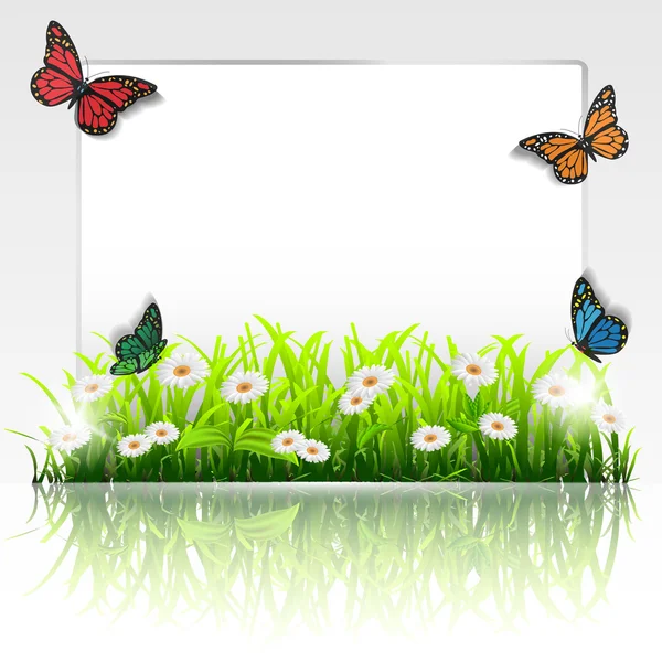 Frame with grass,chamomiles and butterflies — Stock Vector