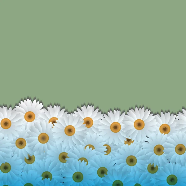 Floral φόντο με camomiles — Διανυσματικό Αρχείο
