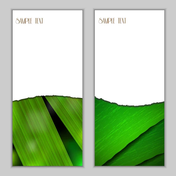 Fresh vertical seasonal banners — Stock Vector