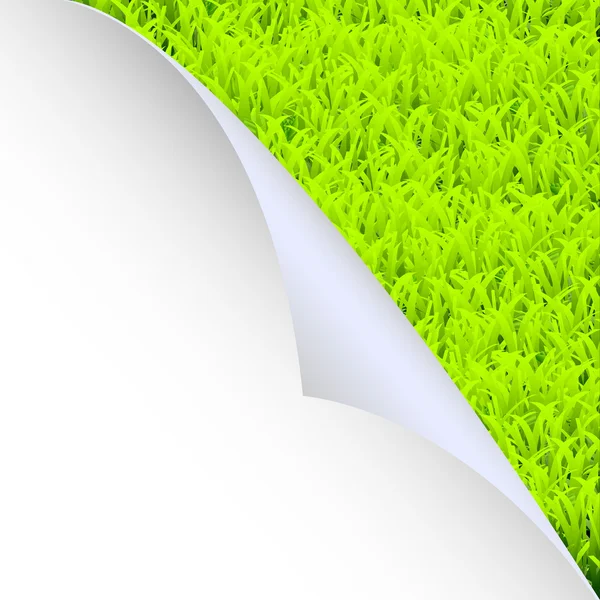 Grünes Gras und Papierecke — Stockvektor