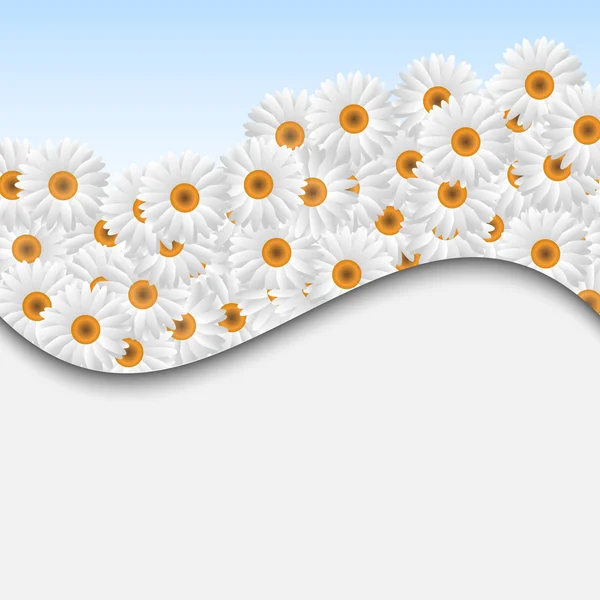 Affiche avec Camomilles blanches — Image vectorielle