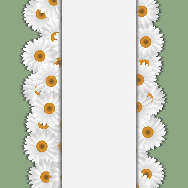 Tarjeta de manzanilla blanca — Archivo Imágenes Vectoriales