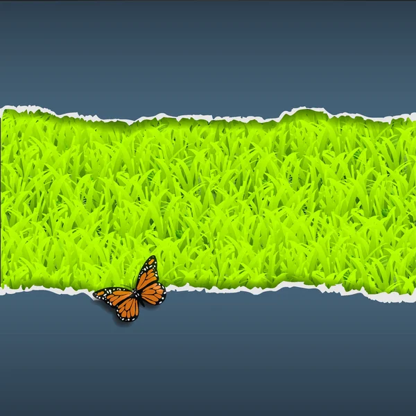 Papier déchiré avec herbe et papillon — Image vectorielle
