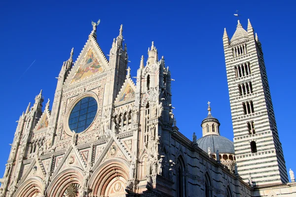 Duomo di Siena n.7 — Foto de Stock