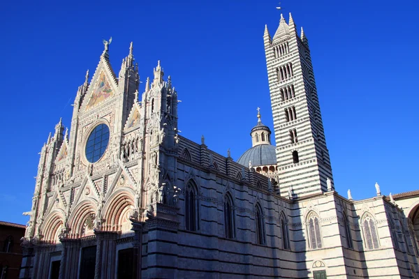 Duomo di Siena n.2 — Stockfoto