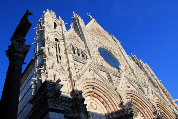 Duomo di Siena n.3 — Foto de Stock