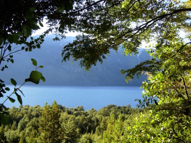 Arjantin. patagonia bir göl manzarası.