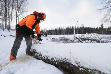 oduncu, ormanda ve kar