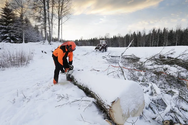 Skogshuggare, skog och snö — Stockfoto