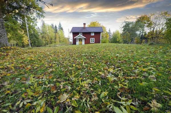 Pequena casa de campo vermelha e folhas de outono — Fotografia de Stock