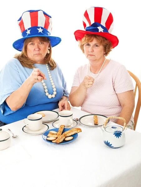 Stock Photo of Angry Tea Party Voters — Stock Photo, Image