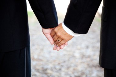 Gay Marriage - Holding Hands Closeup clipart