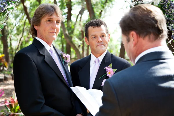 Matrimonio gay - Compromiso de por vida —  Fotos de Stock