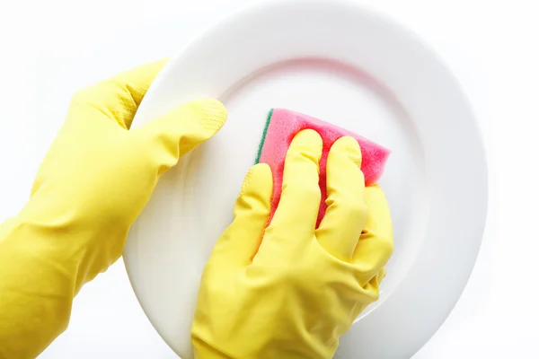 Mãos em luvas de borracha pode esponja a placa em um backgroun branco — Fotografia de Stock