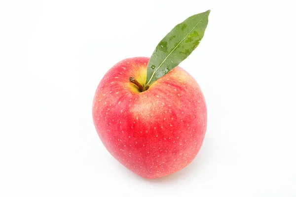 Здоровое питание. Свежее красное яблоко с зеленым листом на белой спине — стоковое фото