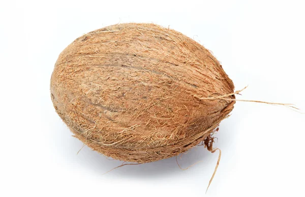 Kokosnöt isolerad på vitt — Stockfoto