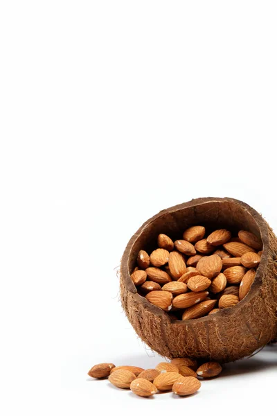 Mandelnüsse in der Schale der Kokosnuss. — Stockfoto