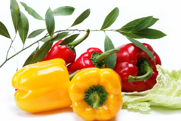 健康食品。新鲜的蔬菜。在白色背景上的辣椒. — 图库照片