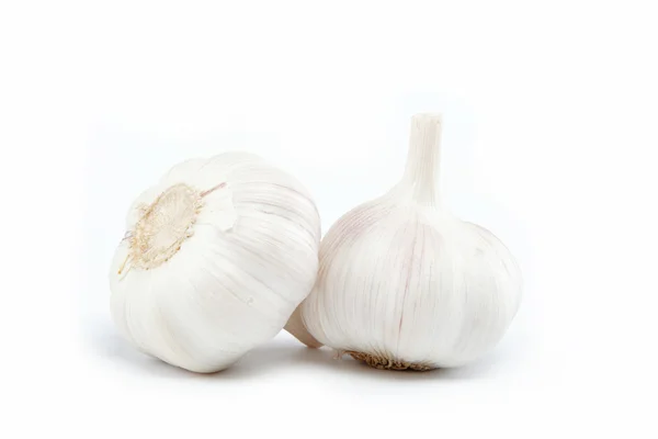 Garlic bulb isolated on white background cutout — Stock Photo, Image