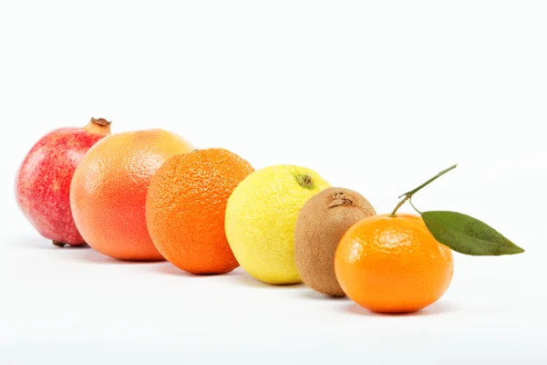 石榴和柑橘类水果. — 图库照片