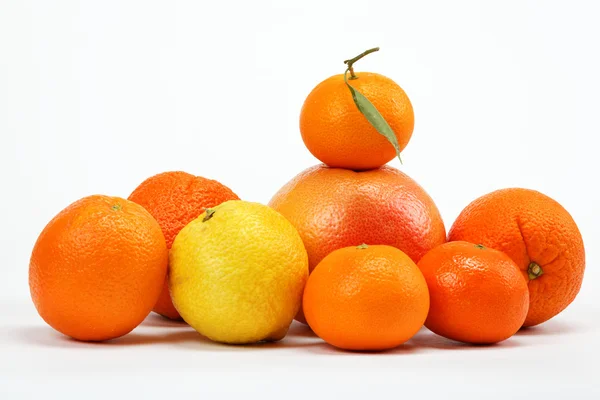 Цитрусовые фрукты на белом фоне . — стоковое фото