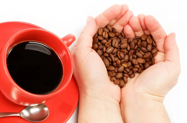 コーヒー豆、白の背景を持つ女性の手. — ストック写真