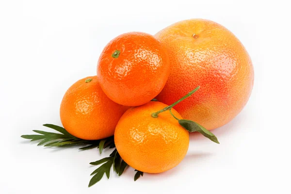 Tropical fruits on a white background. — Stock Photo, Image