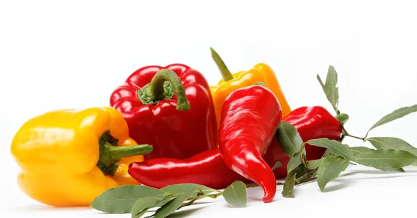 Gezonde voeding. verse groenten. paprika's op een witte achtergrond. — Stockfoto