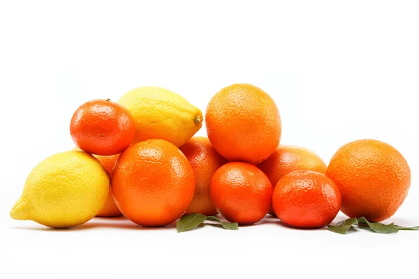 Zitrusfrüchte isoliert auf weißem Hintergrund. — Stockfoto