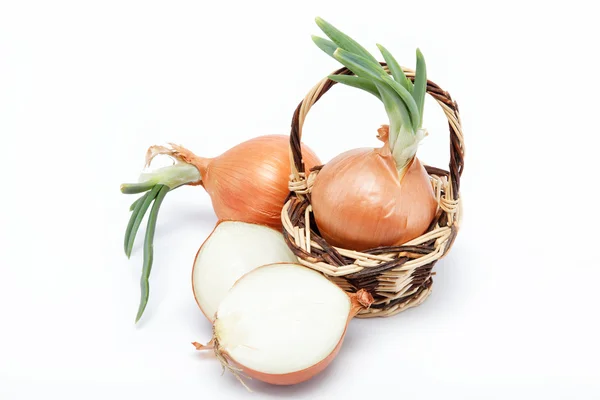 Fresh bulbs of onion in basket on a white background — Stock Photo, Image