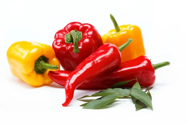 Healthy food. Fresh vegetables. Peppers on a white background. — Stock Photo, Image