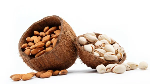 Mandel- och pistage nötter i skalet av kokos. — Stockfoto