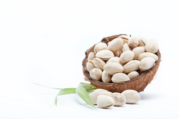 Pistagenötter i skalet av kokos. — Stockfoto