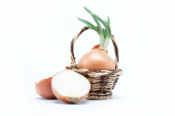 Fresh bulbs of onion in basket on a white background — Stock Photo, Image