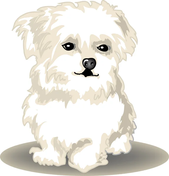 Lindo cachorro — Archivo Imágenes Vectoriales