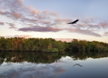 Sunset On The River clipart