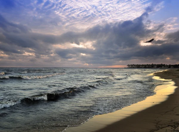 Coucher de soleil sur une mer — Photo