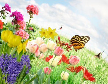 Spring Flowers clipart