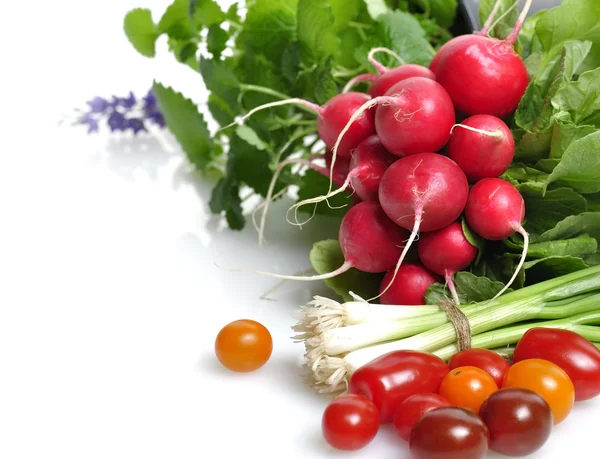 Čerstvá zelenina a bylinky — Stock fotografie
