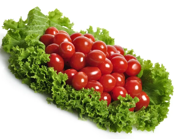 西红柿和沙拉叶 — 图库照片