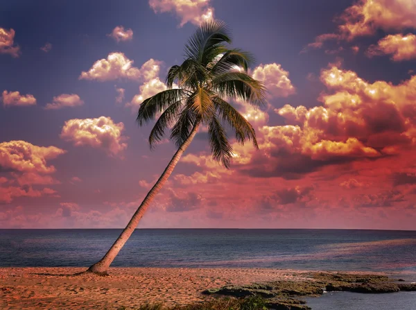 Ocean At Sunset — Stock Photo, Image