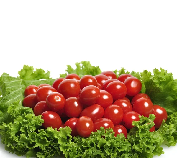 西红柿和沙拉叶 — 图库照片