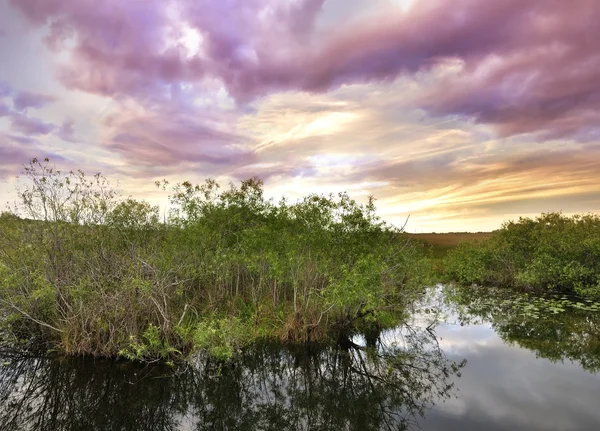 热带河上的落日 — 图库照片