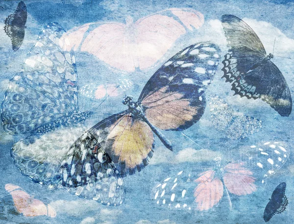 Анотація метелик фону — стокове фото