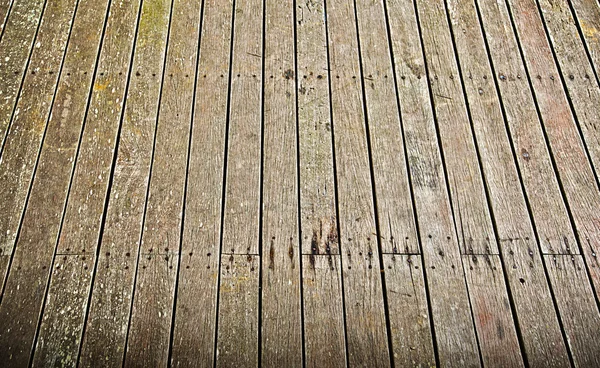 Texture of wood grunge background — Stock Photo, Image