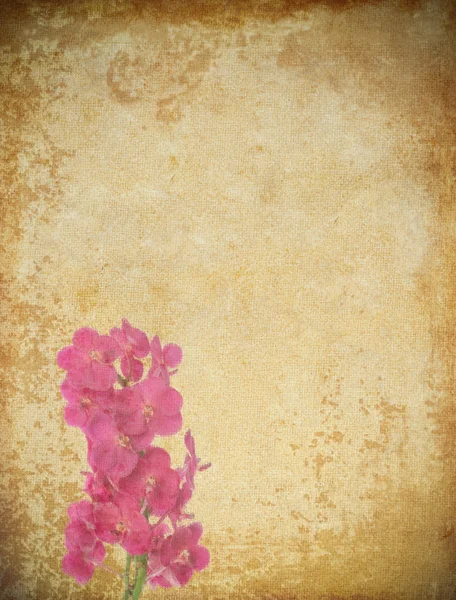 Altes Grunge-Papier und Blumenhintergrund — Stockfoto
