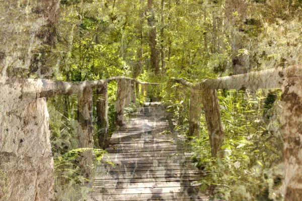 stock image Forest bridge