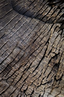 Old wood background clipart